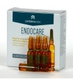 ENDOCARE AMPOLLAS FLASHREPAR 7 x 1 ml