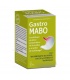 Gastro Mabo