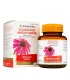 ARKOCAPSULAS EQUINACEA 250 MG 45 CAPSULAS DURAS
