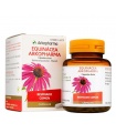 ARKOCAPSULAS EQUINACEA 250 MG 45 CAPSULAS DURAS