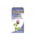 Arkocapsulas Cardo Mariano 300 Mg 100 Capsulas