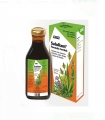 JARABES Y TÓNICOS DE LABORATORIOS SALUS - SALULLANT FÓRMULA HERBAL - ENVASE 250 ML - COMPLEMENTO ALIMENTICIO