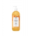Gel-Champú  Cítricos 500ml