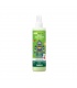 Spray Árbol del Té Manzana 250ml