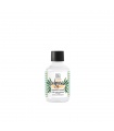 Polynesian Aceite Zanahoria & Monoï 250ml